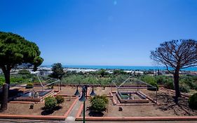 Izzhome Panorama
